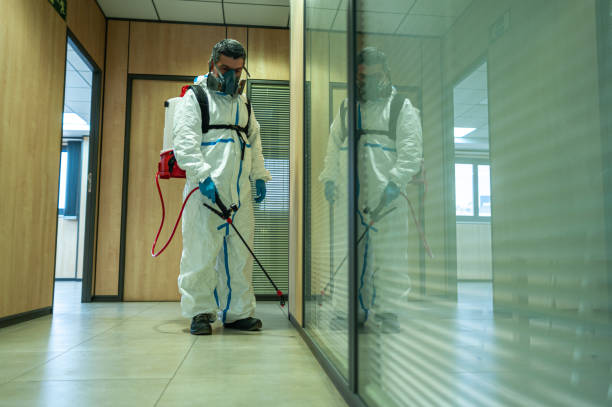 Best Fumigation Services  in Chanhassen, MN